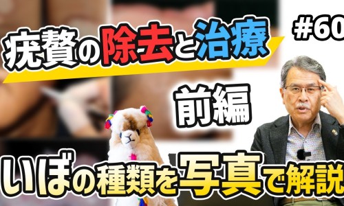 煅牡蛎的功效与作用和副作用-煅牡蛎的功效与禁忌网—知名的煅牡蛎的功效与禁忌及副作用网站,分享煅牡蛎的作用功效知识